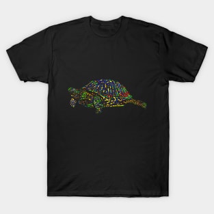 Turtle Turtle T-Shirt